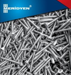 Meridyen Sunta Vidası 6,0*100 - 